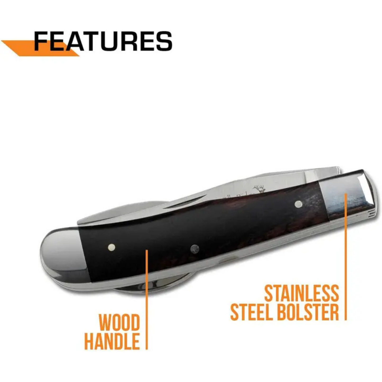 4-in-1 Multi-Function Pocket Knife