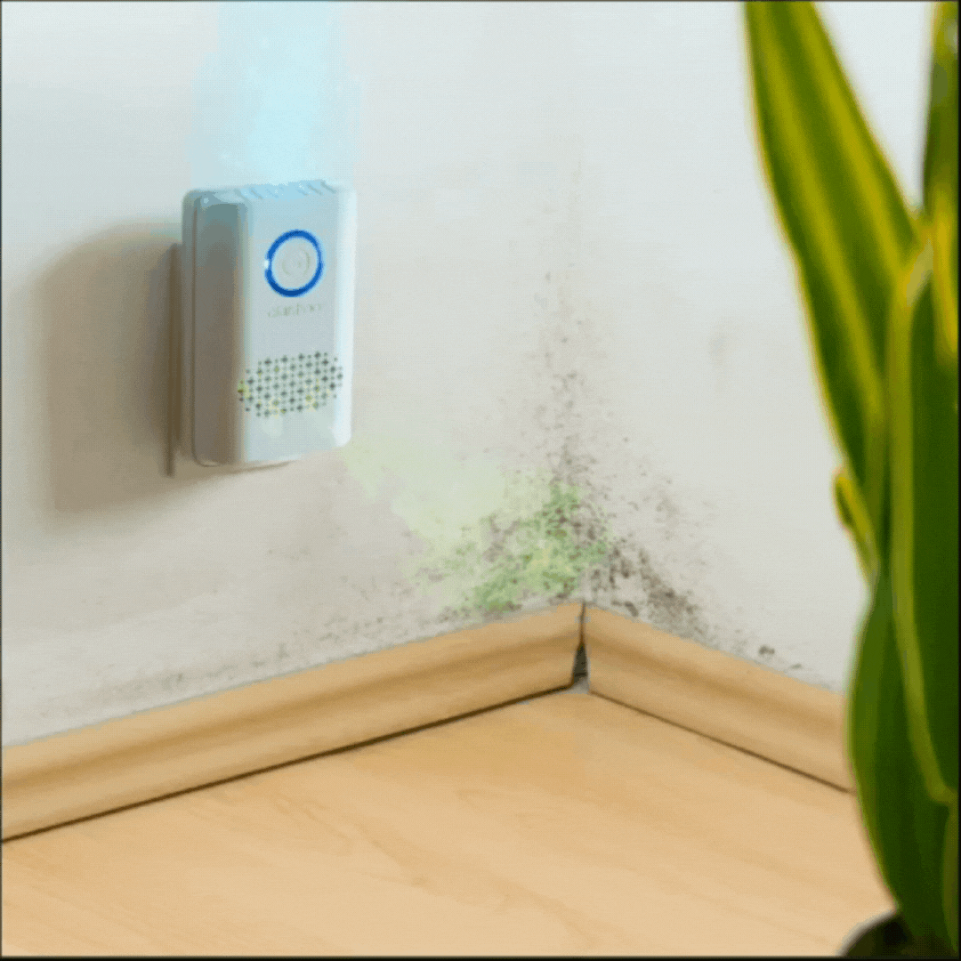 Eliminate Odors from Mold & Mildew Device