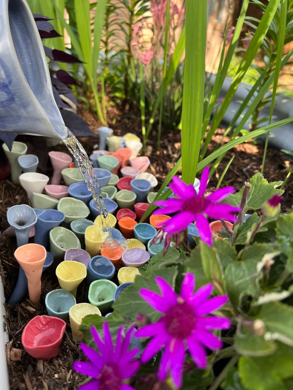 Bee Cup