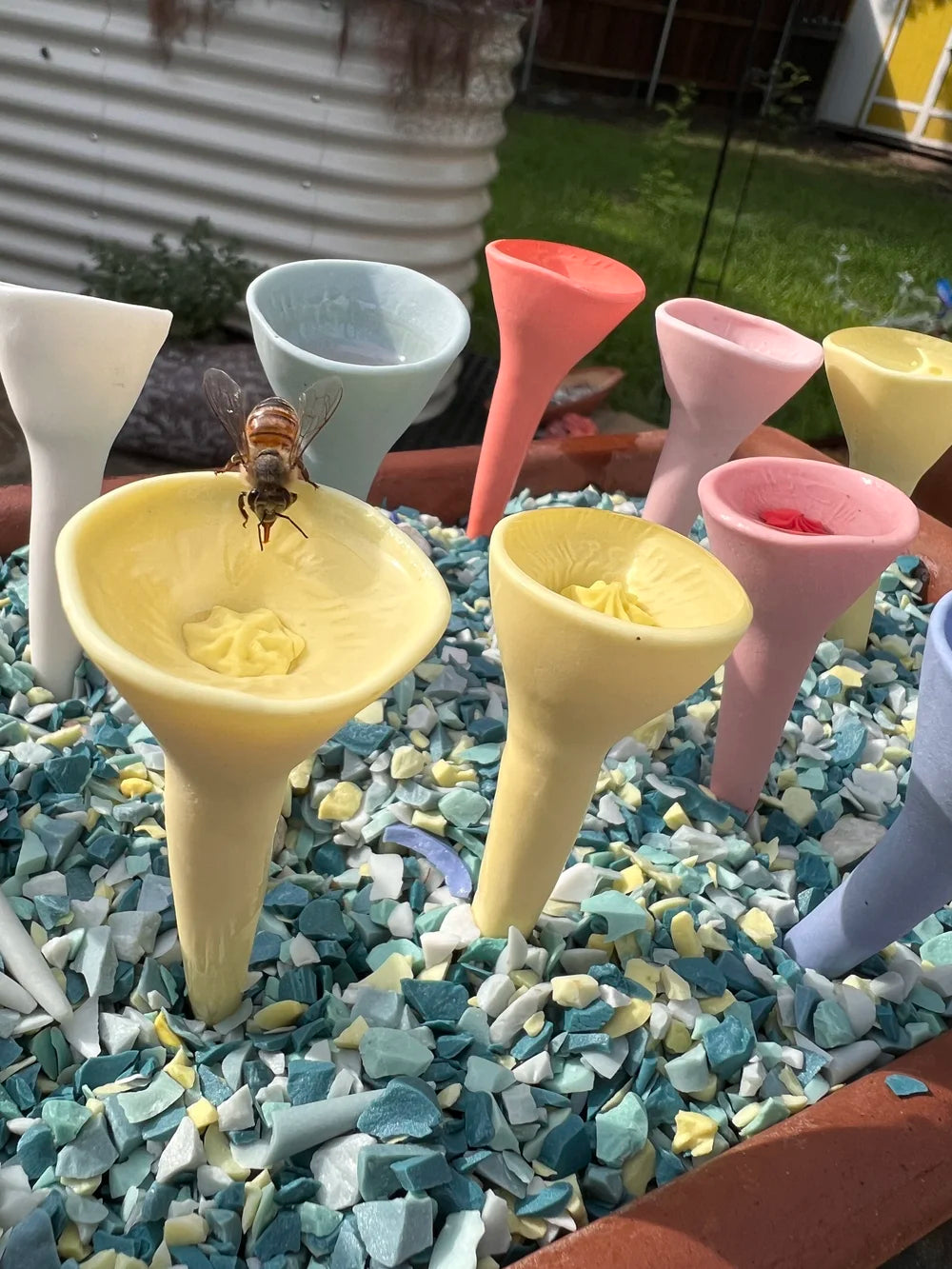 Bee Cup