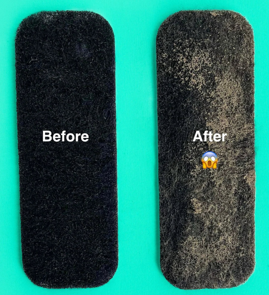 The Pet Fresh Filter