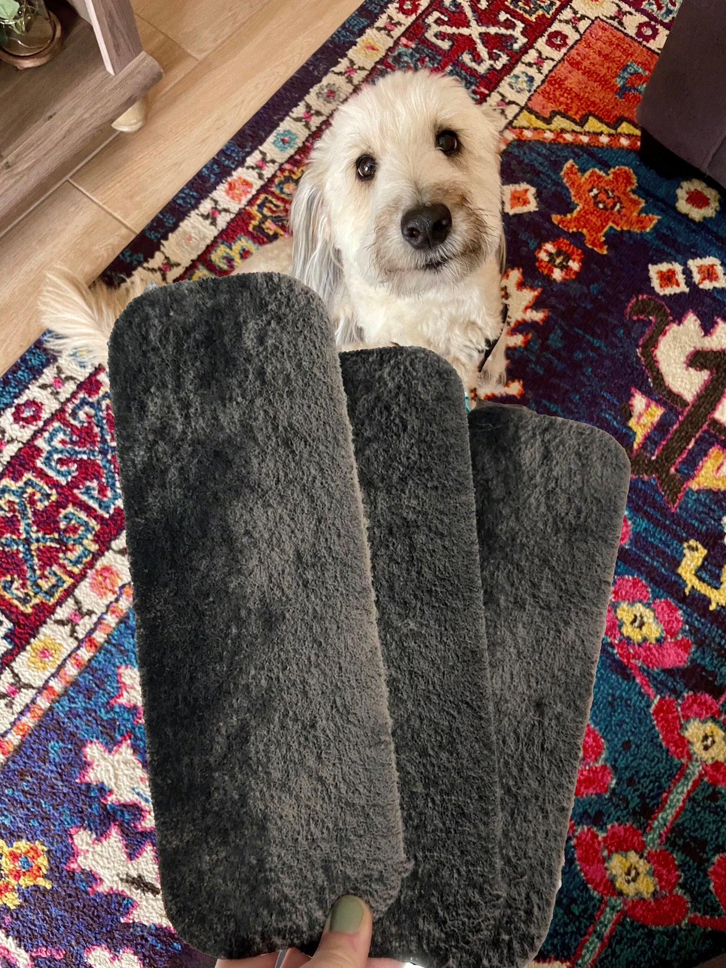 The Pet Fresh Filter