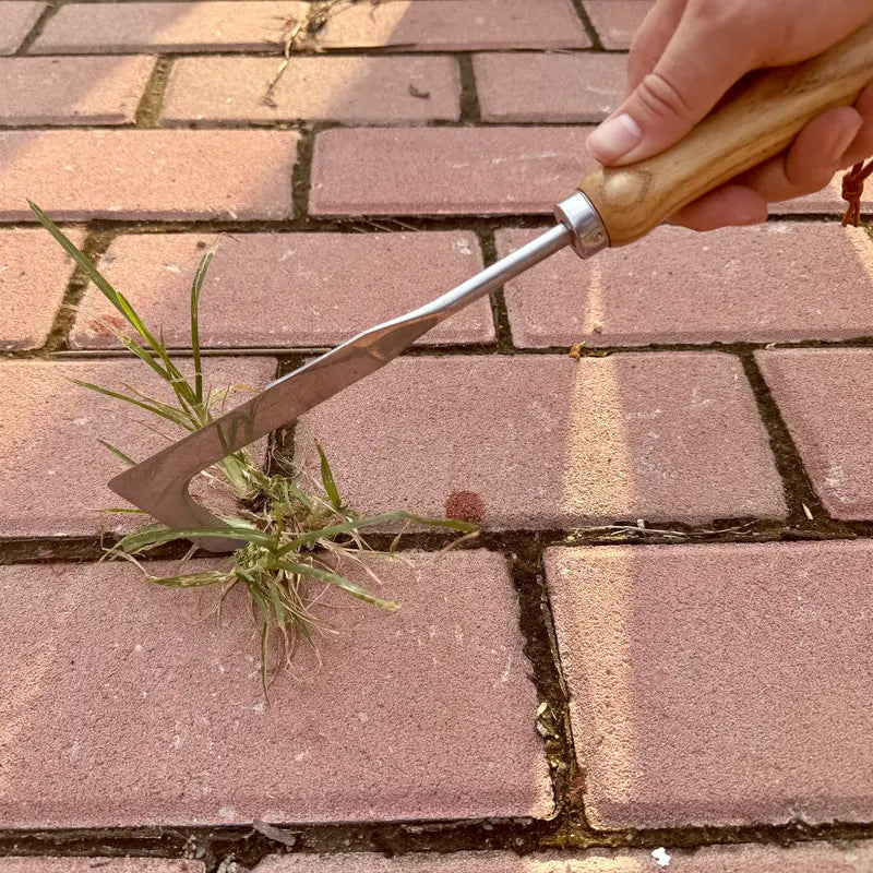 Crack Weeder Tool Crevice Cleaning Tool