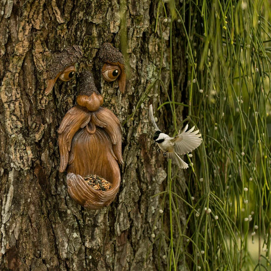 Tree Faces Garden Decor –Tree Hugger Bird Feeder
