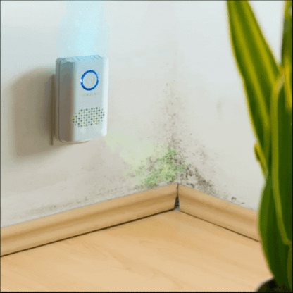 Eliminate Odors from Mold & Mildew Device