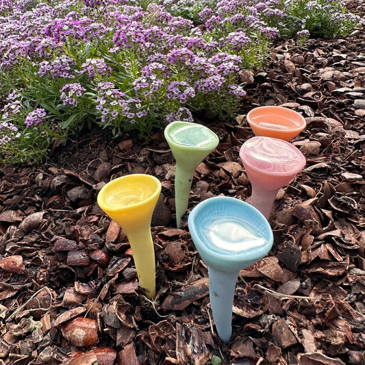 Bee Cup