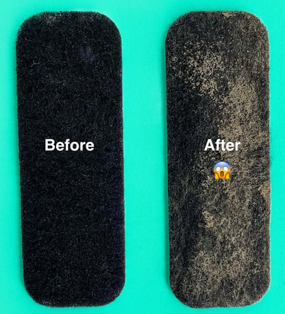 The Pet Fresh Filter